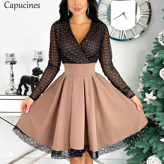 Mesh Sheer Long Sleeve Skater Dress