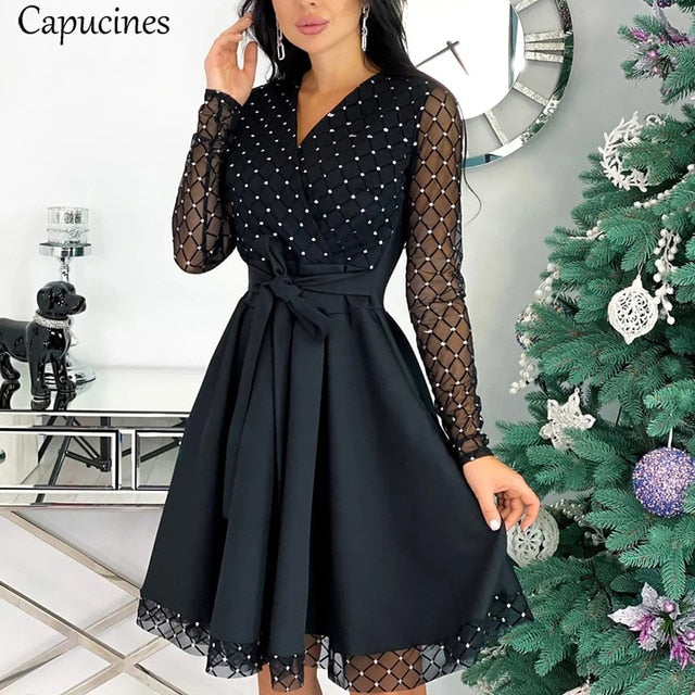 Mesh Sheer Long Sleeve Skater Dress