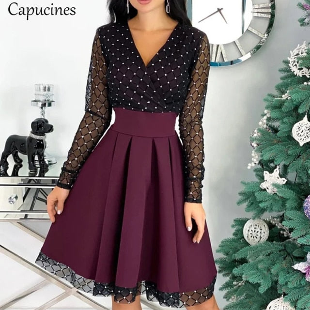 Mesh Sheer Long Sleeve Skater Dress